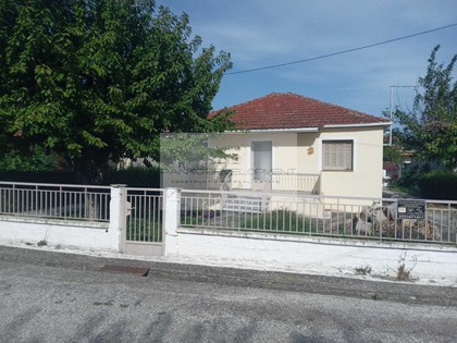 Μονοκατοικία 140τ.μ. για πώληση-Γόμφοι » Λυγαριά