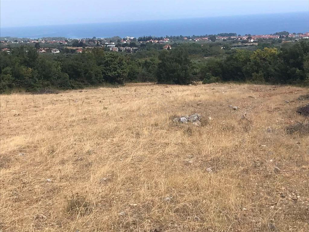 Αγροτεμάχια 4.625 τ.μ. προς πώληση, Λεπτοκαρυά Ανατολικού Ολύμπου