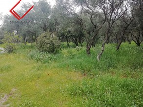 Land plot 600sqm for sale-Vari - Varkiza » Miladeza