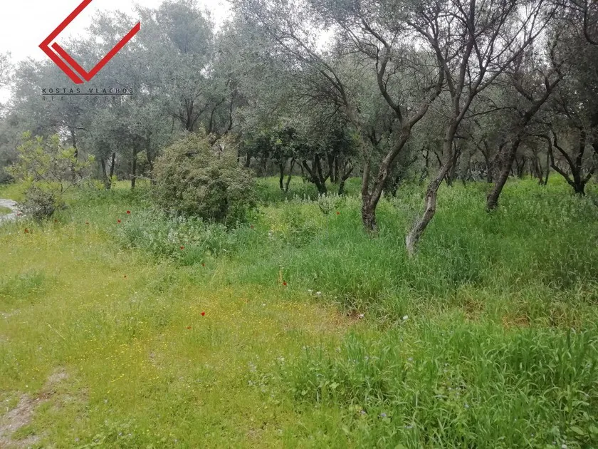 Land plot 600 sqm for sale, Athens - South, Vari - Varkiza