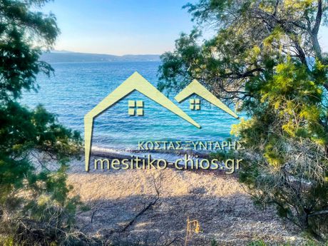 Οικόπεδο 2.990τ.μ. για πώληση-Χίος » Μαστιχοχώρια