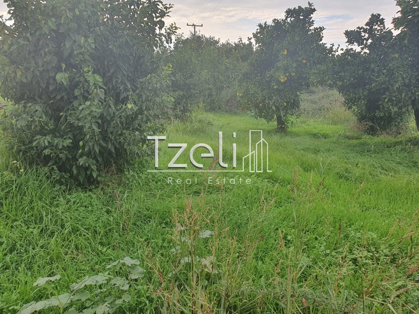 Land plot 800 sqm for sale
