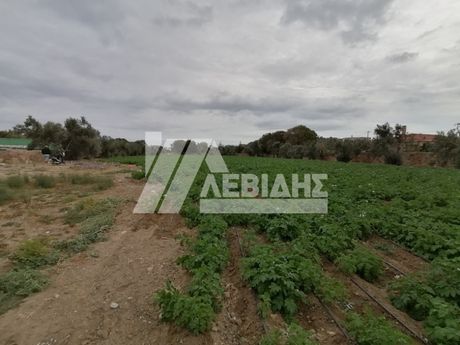 Land plot 11.000sqm for sale-Chios » Chios Town