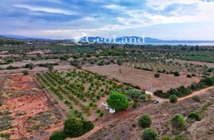 Αγροτεμάχια 8.253 τ.μ. για πώληση, Αργολίδα, Κρανίδι-thumb-11