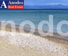 Οικόπεδο 22.000τ.μ. για πώληση-Βόρεια κυνουρία » Άστρος