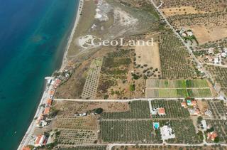 Οικόπεδο 2.293 τ.μ. για πώληση, Αργολίδα, Ερμιόνη-thumb-11