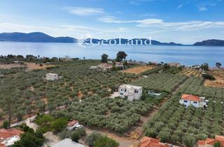 Οικόπεδο 2.293 τ.μ. για πώληση, Αργολίδα, Ερμιόνη-thumb-16