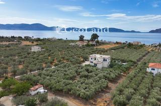 Οικόπεδο 2.293 τ.μ. για πώληση, Αργολίδα, Ερμιόνη-thumb-17