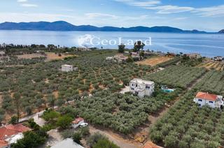 Οικόπεδο 2.293 τ.μ. για πώληση, Αργολίδα, Ερμιόνη-thumb-22