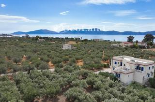 Οικόπεδο 2.293 τ.μ. για πώληση, Αργολίδα, Ερμιόνη-thumb-23