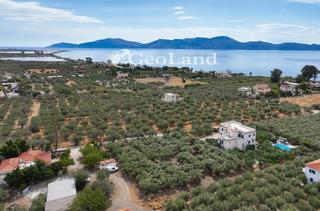 Οικόπεδο 2.293 τ.μ. για πώληση, Αργολίδα, Ερμιόνη-thumb-24