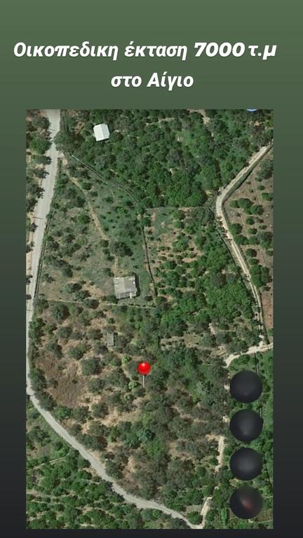 Οικόπεδο 7.000 τ.μ. πρός ενοικίαση, Αχαΐα, Αιγιάλεια