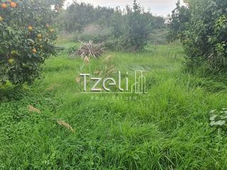 Οικόπεδο 4.500 τ.μ. για πώληση, Αχαΐα, Φαρές-thumb-5