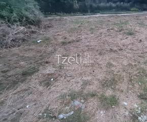 Οικόπεδο 213 τ.μ. για πώληση, Αχαΐα, Παραλία-thumb-16