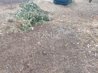 Οικόπεδο 600 τ.μ. για πώληση, Αχαΐα, Μεσσατίδα-thumb-1