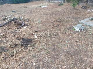Οικόπεδο 600 τ.μ. για πώληση, Αχαΐα, Μεσσατίδα-thumb-5
