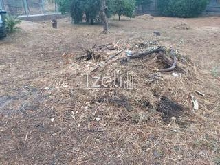 Οικόπεδο 600 τ.μ. για πώληση, Αχαΐα, Μεσσατίδα-thumb-14