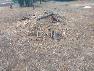 Οικόπεδο 600 τ.μ. για πώληση, Αχαΐα, Μεσσατίδα-thumb-24