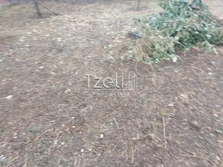 Οικόπεδο 300 τ.μ. για πώληση, Αχαΐα, Μεσσατίδα-thumb-27