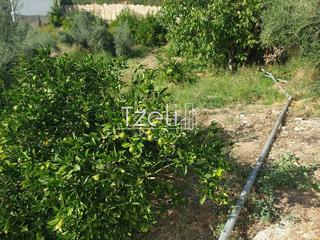 Οικόπεδο 1.300 τ.μ. για πώληση, Αχαΐα, Ρίο-thumb-3