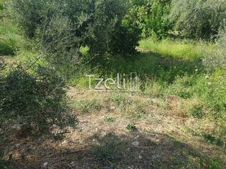 Οικόπεδο 1.300 τ.μ. για πώληση, Αχαΐα, Ρίο-thumb-8