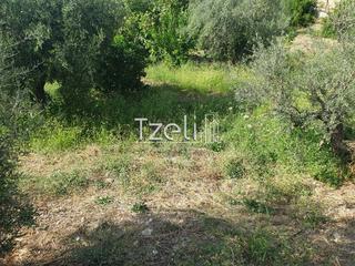 Οικόπεδο 1.300 τ.μ. για πώληση, Αχαΐα, Ρίο-thumb-12