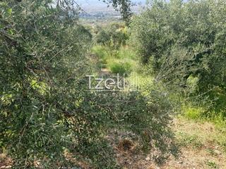 Οικόπεδο 1.300 τ.μ. για πώληση, Αχαΐα, Ρίο-thumb-14
