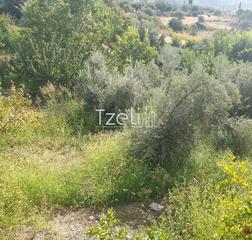 Οικόπεδο 1.300 τ.μ. για πώληση, Αχαΐα, Ρίο-thumb-17