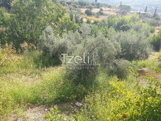 Οικόπεδο 1.300 τ.μ. για πώληση, Αχαΐα, Ρίο-thumb-18