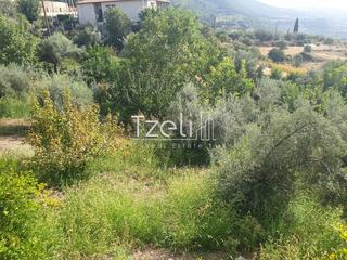 Οικόπεδο 1.300 τ.μ. για πώληση, Αχαΐα, Ρίο-thumb-20