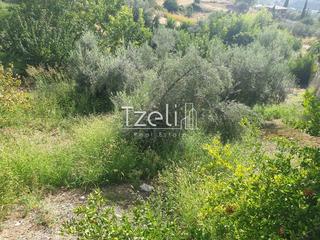 Οικόπεδο 1.300 τ.μ. για πώληση, Αχαΐα, Ρίο-thumb-24