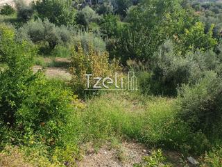 Οικόπεδο 1.300 τ.μ. για πώληση, Αχαΐα, Ρίο-thumb-27