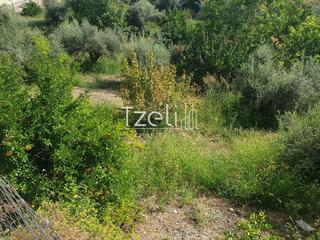 Οικόπεδο 1.300 τ.μ. για πώληση, Αχαΐα, Ρίο-thumb-29