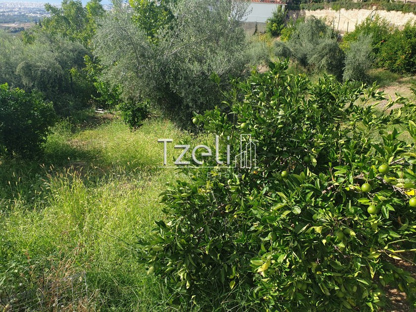 Land plot 2.300 sqm for sale