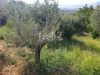 Οικόπεδο 2.300 τ.μ. για πώληση, Αχαΐα, Ρίο-thumb-3