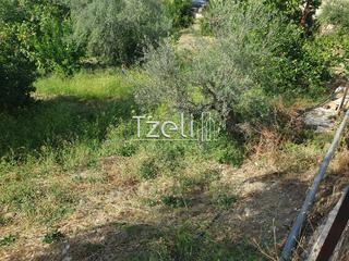 Οικόπεδο 2.300 τ.μ. για πώληση, Αχαΐα, Ρίο-thumb-10