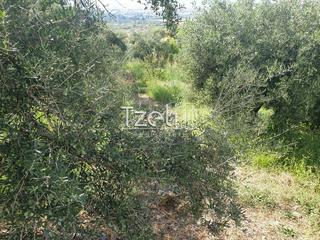 Οικόπεδο 2.300 τ.μ. για πώληση, Αχαΐα, Ρίο-thumb-11