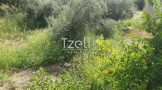 Οικόπεδο 2.300 τ.μ. για πώληση, Αχαΐα, Ρίο-thumb-21