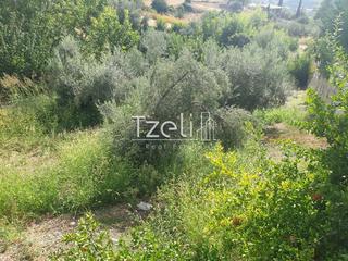 Οικόπεδο 2.300 τ.μ. για πώληση, Αχαΐα, Ρίο-thumb-22