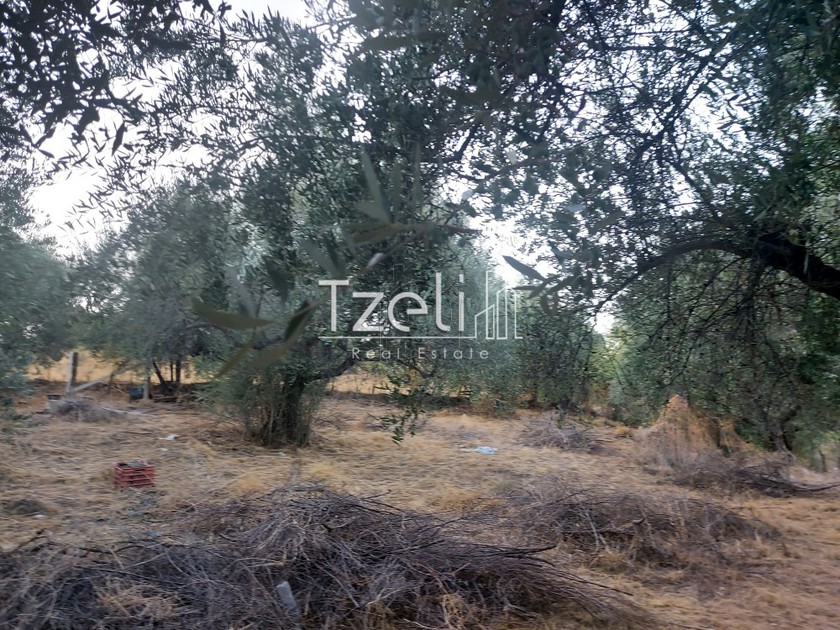 Land plot 720 sqm for sale