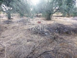 Οικόπεδο 720 τ.μ. για πώληση, Αχαΐα, Μεσσατίδα-thumb-3