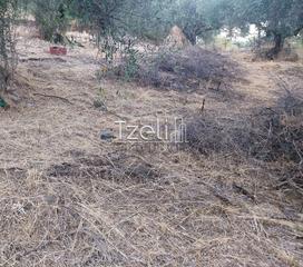 Οικόπεδο 720 τ.μ. για πώληση, Αχαΐα, Μεσσατίδα-thumb-6