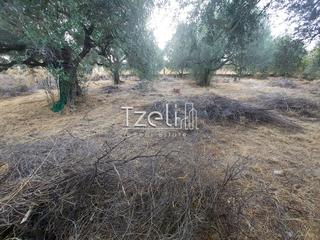 Οικόπεδο 720 τ.μ. για πώληση, Αχαΐα, Μεσσατίδα-thumb-11