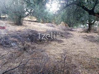 Οικόπεδο 720 τ.μ. για πώληση, Αχαΐα, Μεσσατίδα-thumb-17