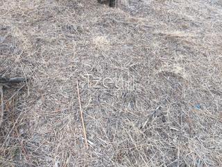 Οικόπεδο 720 τ.μ. για πώληση, Αχαΐα, Μεσσατίδα-thumb-18