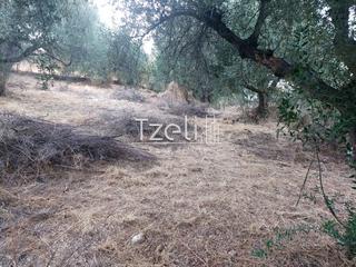 Οικόπεδο 720 τ.μ. για πώληση, Αχαΐα, Μεσσατίδα-thumb-21