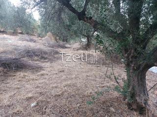 Οικόπεδο 720 τ.μ. για πώληση, Αχαΐα, Μεσσατίδα-thumb-25