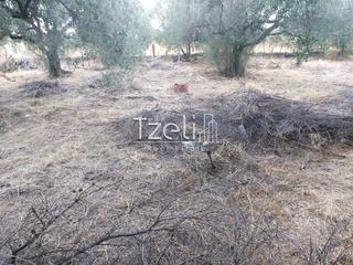 Οικόπεδο 720 τ.μ. για πώληση, Αχαΐα, Μεσσατίδα-thumb-26