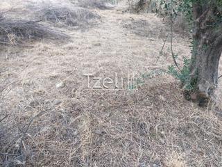 Οικόπεδο 720 τ.μ. για πώληση, Αχαΐα, Μεσσατίδα-thumb-27
