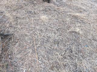 Αγροτεμάχια 960 τ.μ. για πώληση, Αχαΐα, Παραλία-thumb-2